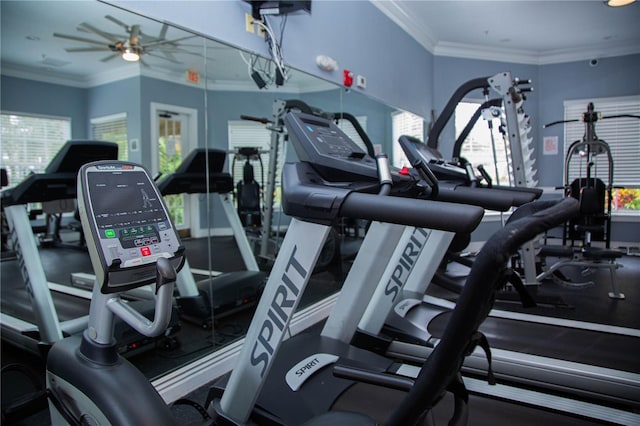 gym with ceiling fan and ornamental molding