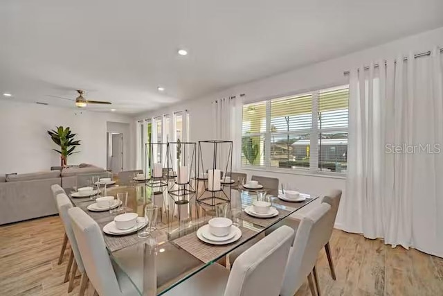 dining room featuring plenty of natural light, light hardwood / wood-style floors, and ceiling fan