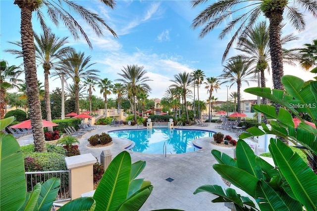 view of pool with a patio