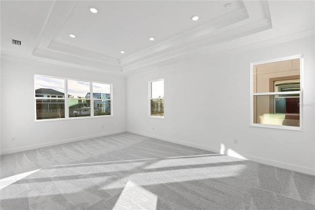 spare room featuring ornamental molding, light colored carpet, and a tray ceiling