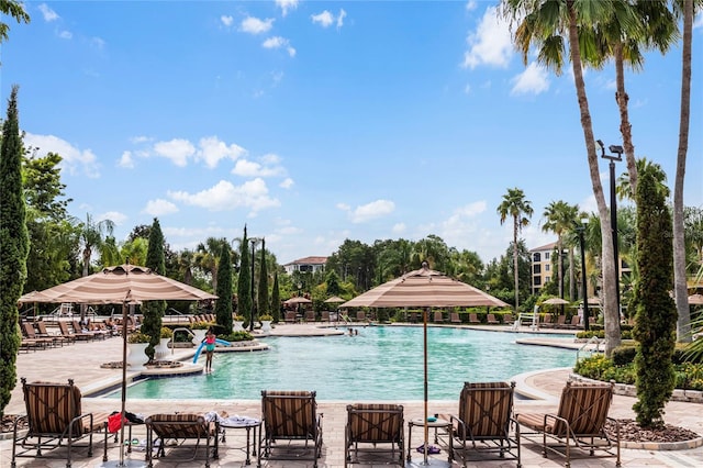 view of swimming pool featuring a patio