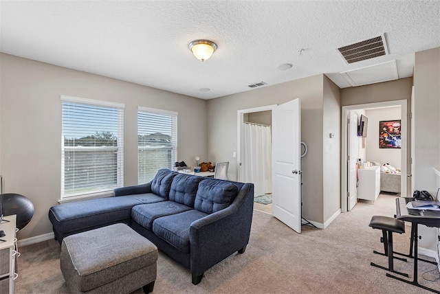 carpeted living room with a textured ceiling