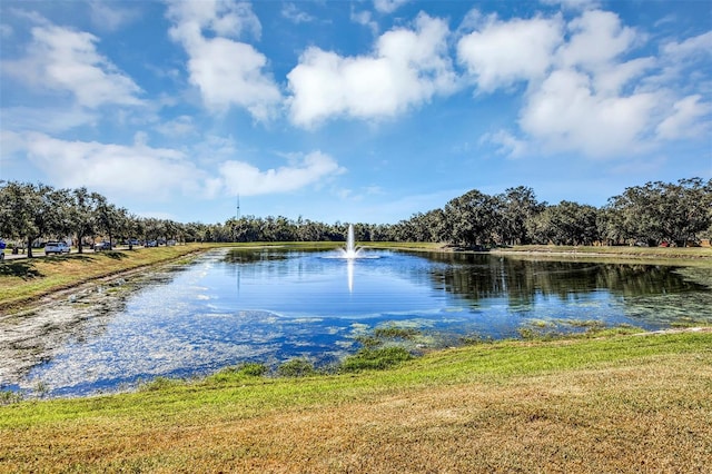 view of water feature