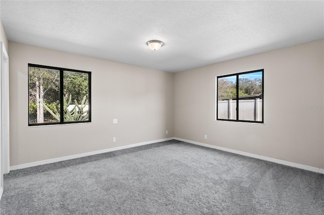 empty room featuring carpet flooring and a textured ceiling