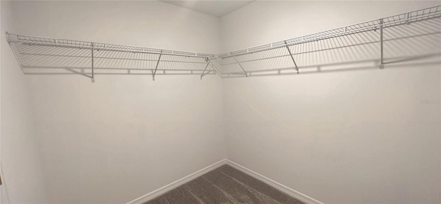 walk in closet featuring carpet