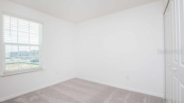 spare room with light carpet