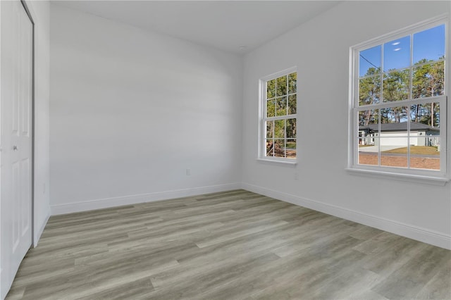 spare room with light wood-type flooring and a wealth of natural light