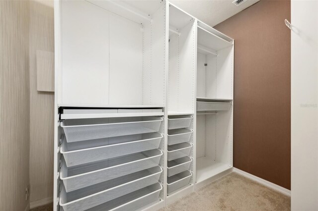 spacious closet with carpet