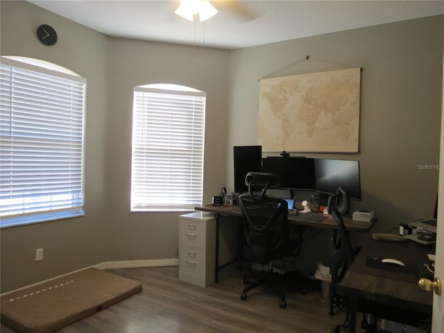 office area featuring ceiling fan and hardwood / wood-style floors