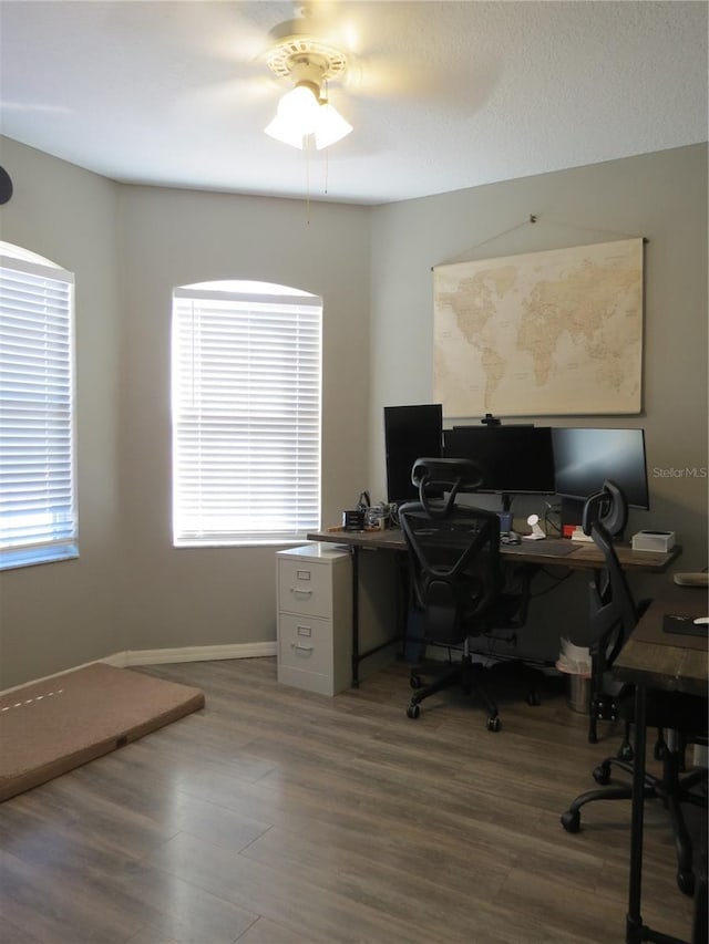 office featuring ceiling fan and wood-type flooring