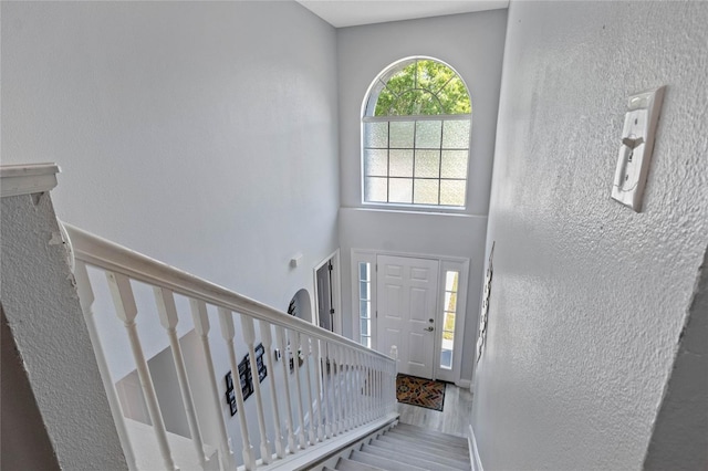 entrance foyer featuring wood-type flooring