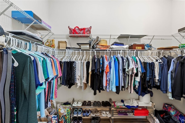 view of spacious closet