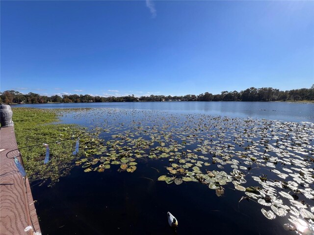 556 Lake Wildmere Cv, Longwood, FL 32750 - photo 50