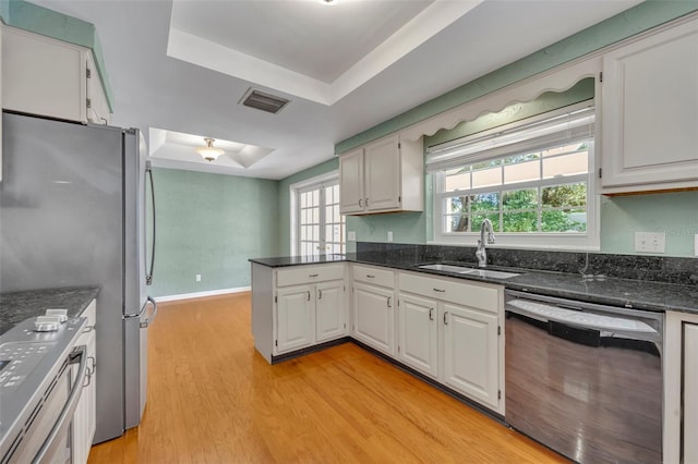 kitchen featuring white cabinetry, sink, appliances with stainless steel finishes, and a tray ceiling