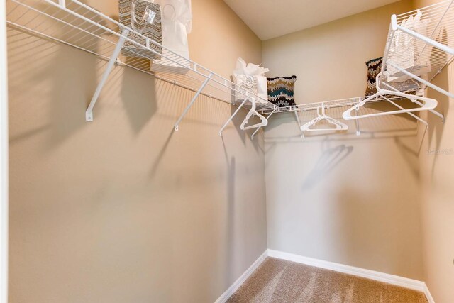 spacious closet with carpet flooring