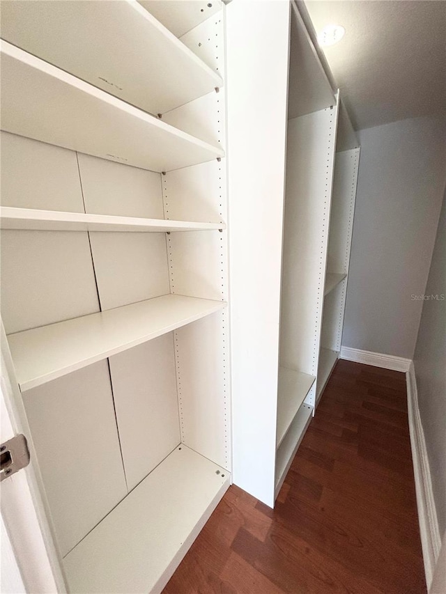 walk in closet featuring dark wood-type flooring