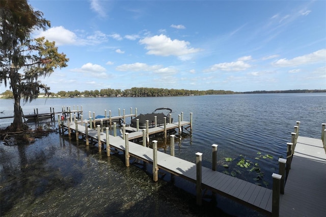 dock area with a water view