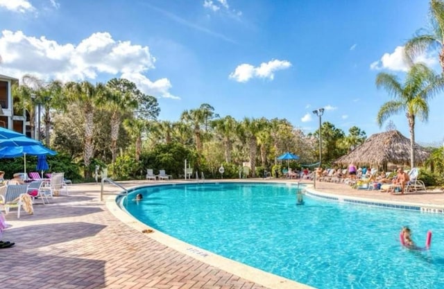 view of swimming pool featuring a patio area