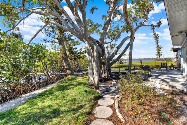 view of yard with a water view