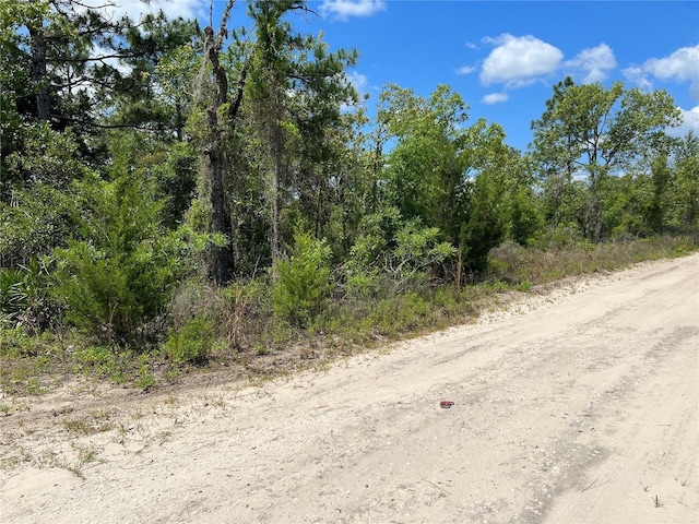 NE 66th Ln, Williston FL, 32696 land for sale