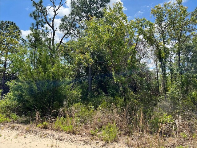 NE 66th Ln, Williston, FL 32696 - photo 3