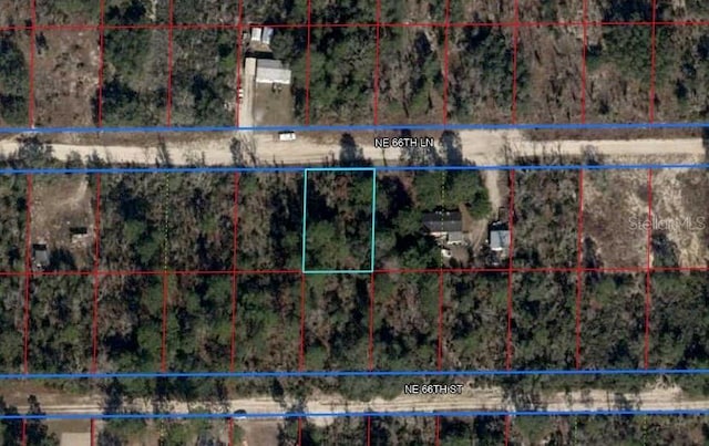 NE 66th Ln, Williston, FL 32696 - photo 5