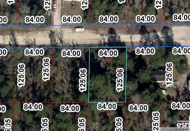 NE 66th Ln, Williston, FL 32696 - photo 6