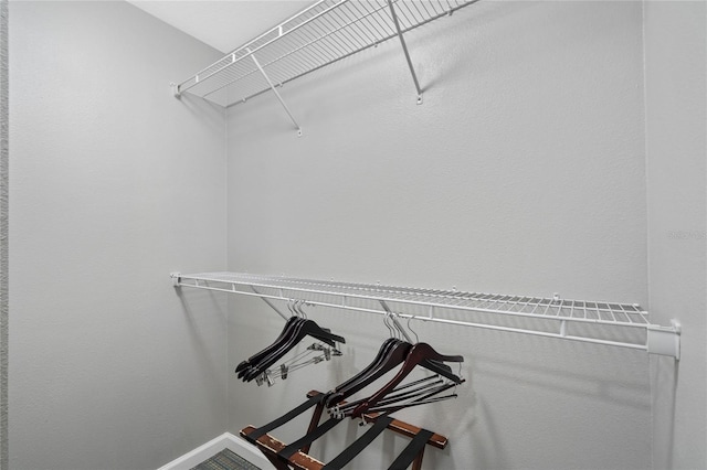 view of walk in closet