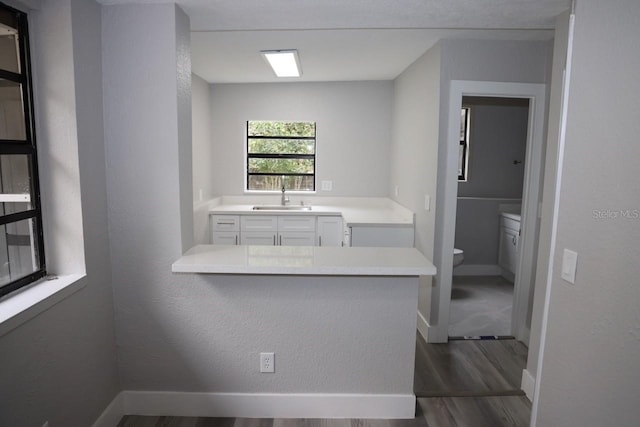 interior space featuring wood-type flooring, vanity, and toilet