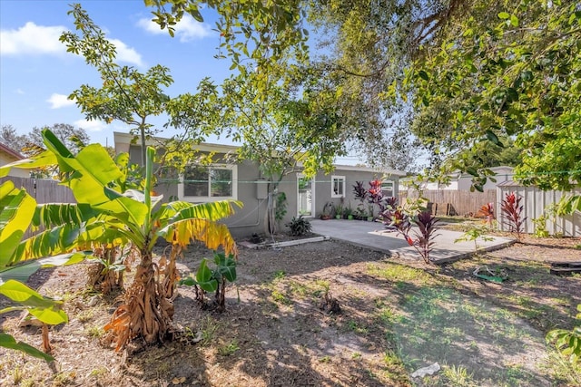 view of yard with a patio