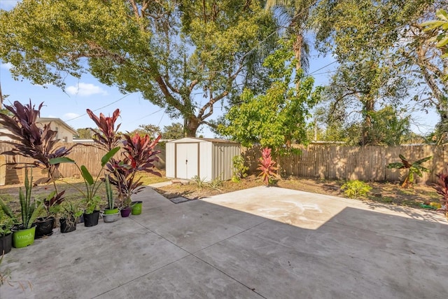 view of patio / terrace with a storage shed