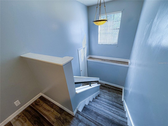 stairs with wood-type flooring