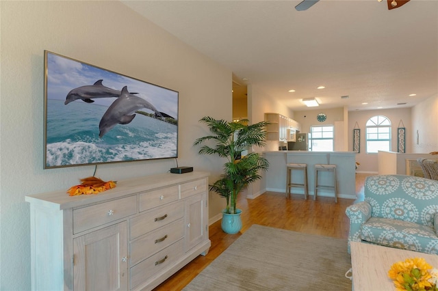 living room featuring light hardwood / wood-style flooring