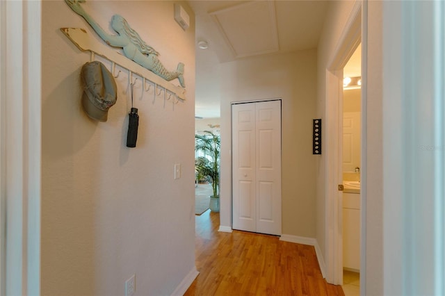 hallway featuring light hardwood / wood-style flooring