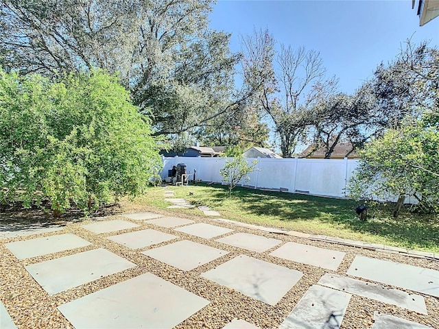 view of yard with a patio area