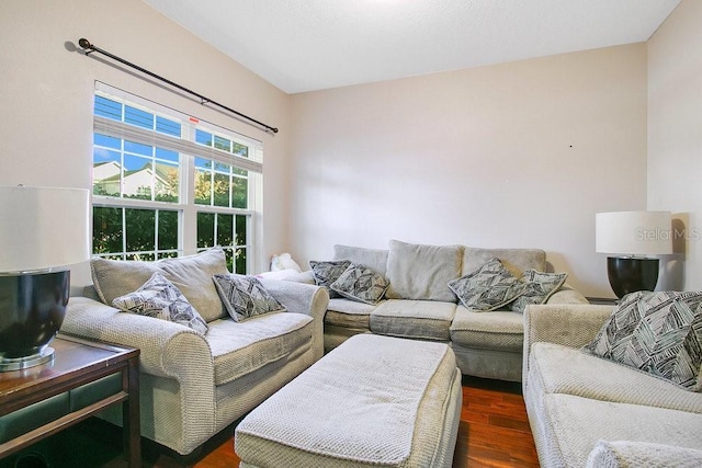 living room featuring dark wood-type flooring