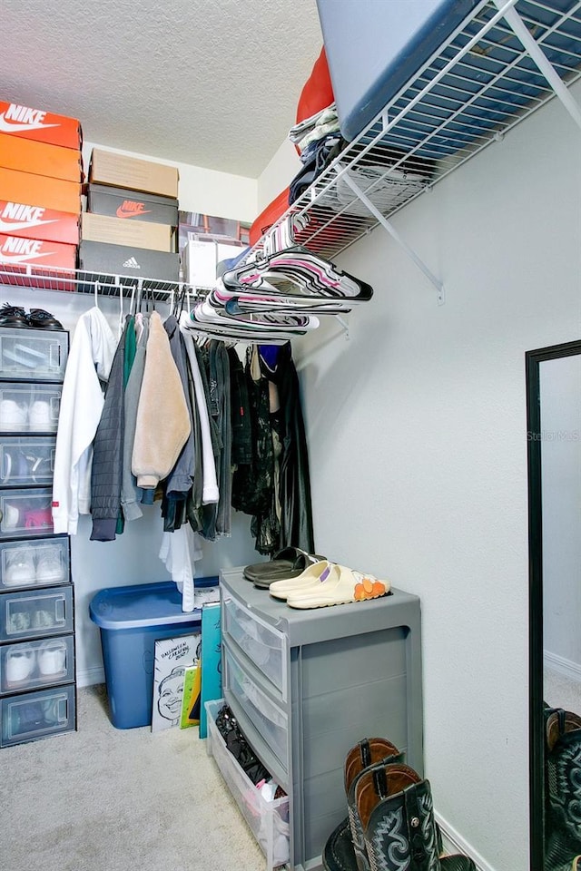 spacious closet featuring carpet