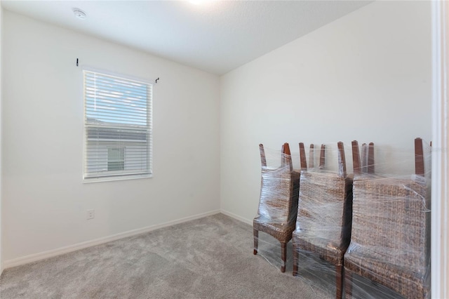 spare room with light colored carpet