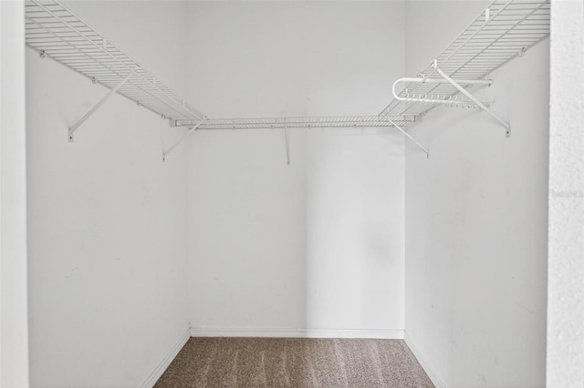 13228 Daniels Landing Cir, Winter Garden, FL 34787 - walk in closet featuring carpet floors