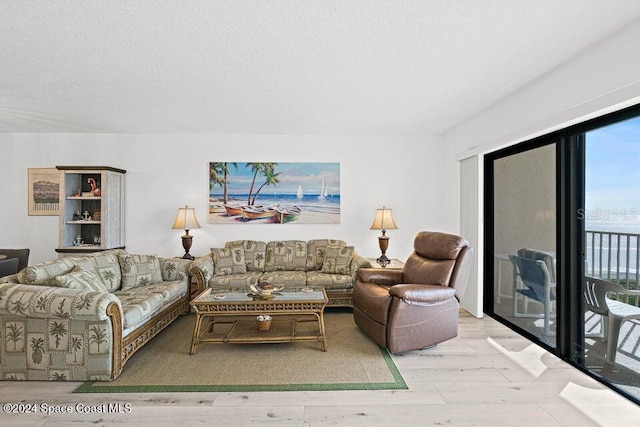 living room featuring a textured ceiling and light hardwood / wood-style flooring