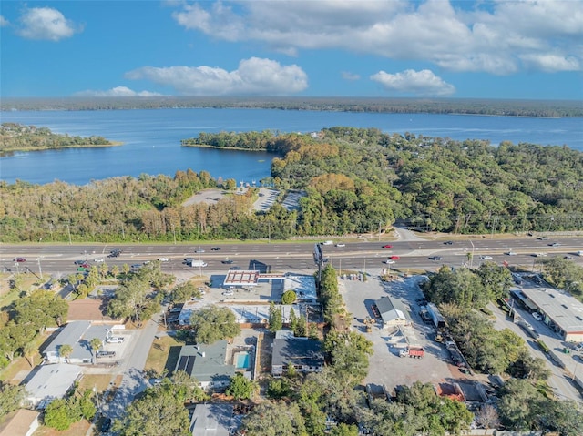 990 Sunrise Dr, Tarpon Springs, FL 34689 - bird's eye view of a large body of water
