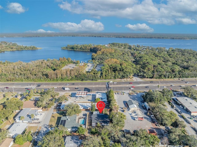 990 Sunrise Dr, Tarpon Springs, FL 34689 - aerial view of property and surrounding area featuring a nearby body of water and a heavily wooded area
