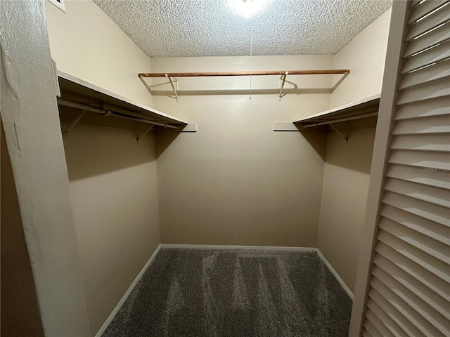 walk in closet with carpet