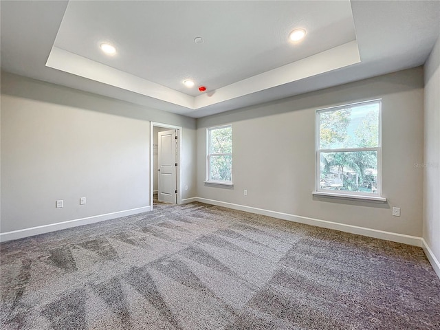 spare room with a raised ceiling, a wealth of natural light, and carpet flooring