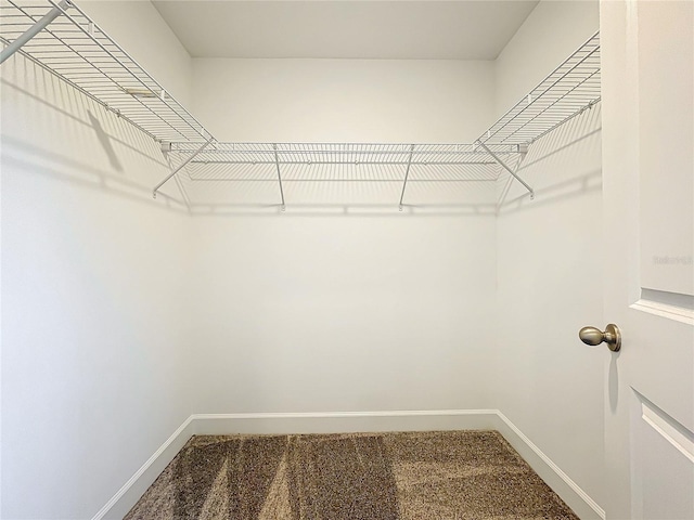 spacious closet with carpet