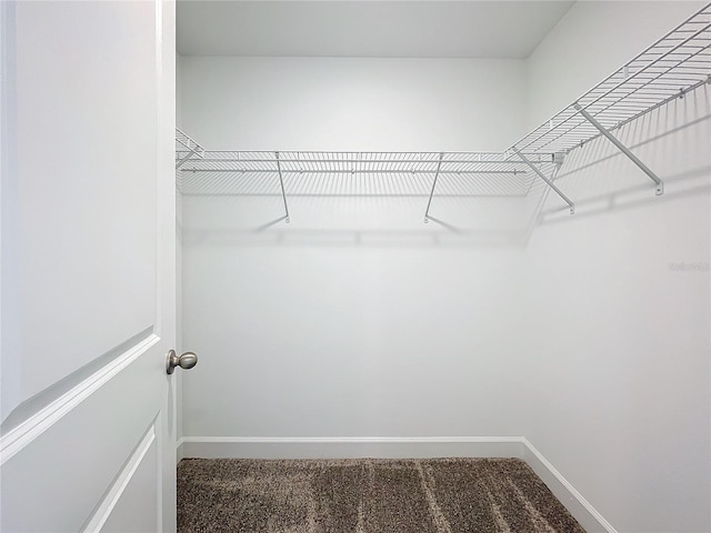 spacious closet with carpet floors