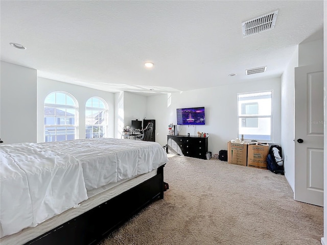 4408 Renly Ln, Clermont, FL 34711 - bedroom with carpet flooring, multiple windows, and recessed lighting