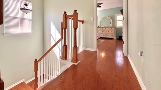 hallway with dark wood-type flooring