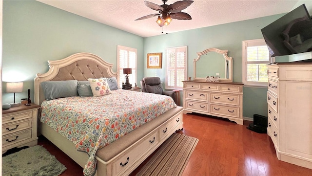 bedroom featuring dark hardwood / wood-style floors, ceiling fan, a textured ceiling, and multiple windows