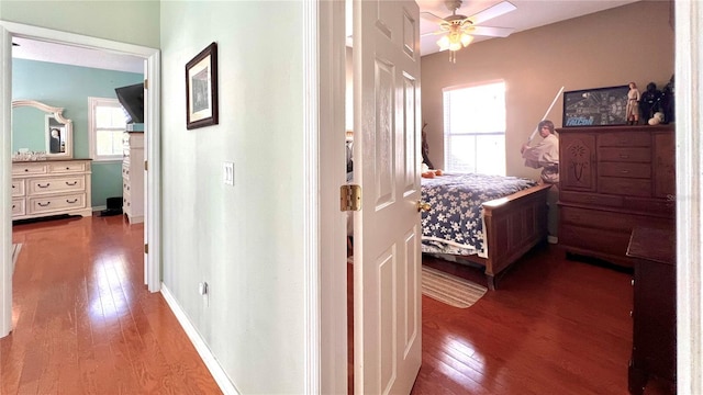 bedroom with hardwood / wood-style flooring, multiple windows, and ceiling fan